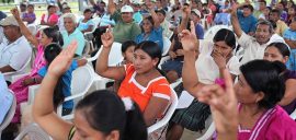 Cooperative members vote at their annual meeting.