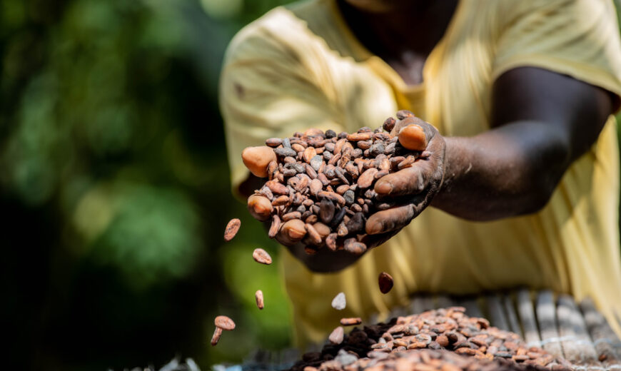 CAYAT IVORY COAST COCOA1