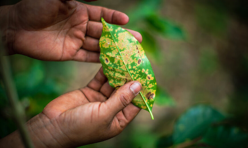 El Salvador drought 2014