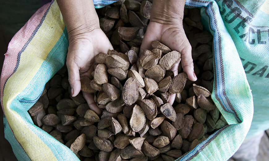 Coinacapa_Bolivia_nuts_2007