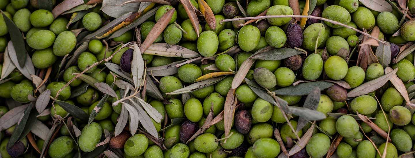 Image of olives